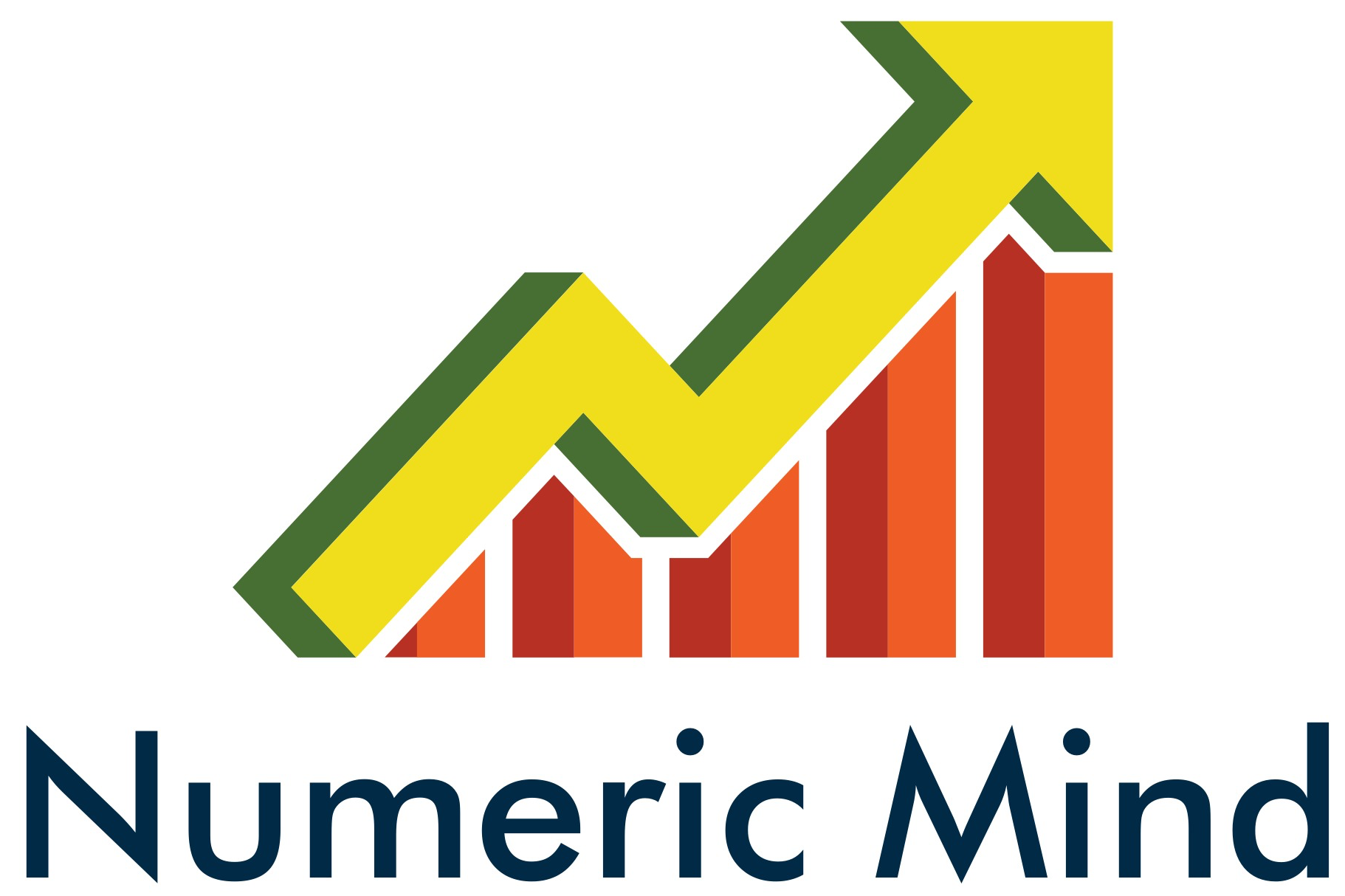 Logo Image for  Numeric Mind Pvt Ltd