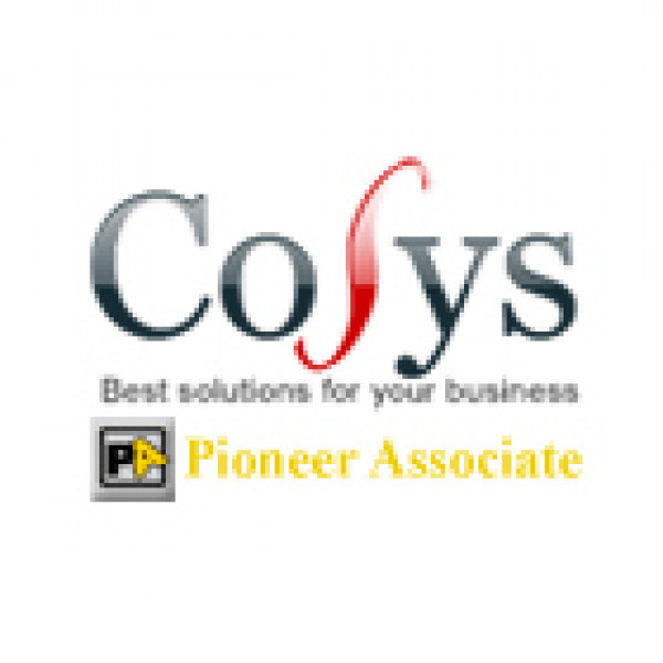Logo Image for  Pioneer Associate