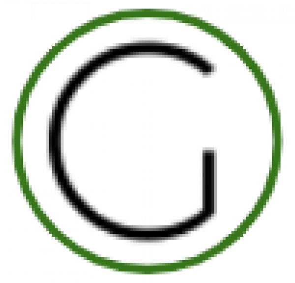Logo Image for  GoCode Solutions