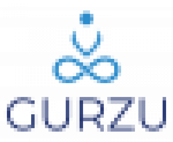 Logo Image for  Gurzu Inc